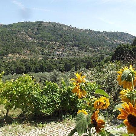 Appartement Quinta Do Pina à Guarda Extérieur photo